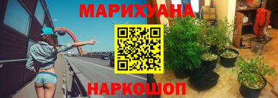 гидра Заволжье